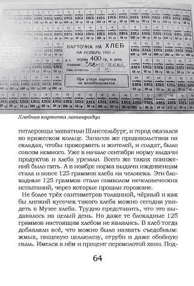 Блокада Ленинграда. Размышления о подвиге и трагедии - фото 3