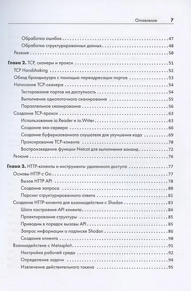 Black Hat Go: Программирование для хакеров и пентестеров - фото 6