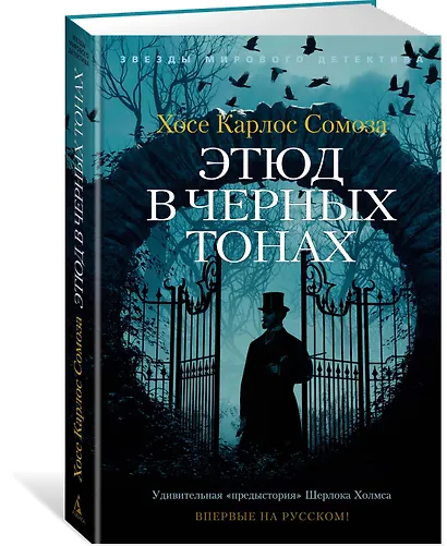 Этюд в черных тонах - фото 3