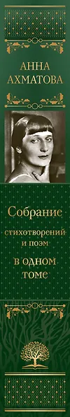 Собрание стихотворений и поэм в одном томе - фото 5