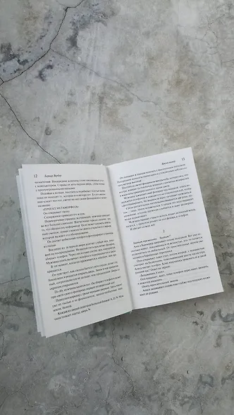 Время химер - фото 11