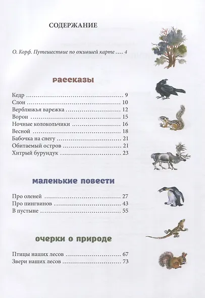 Ночные колокольчики - фото 2