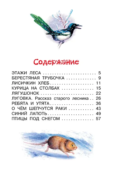 Лисичкин хлеб. Рассказы - фото 4