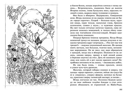 Чудесное лето - фото 4