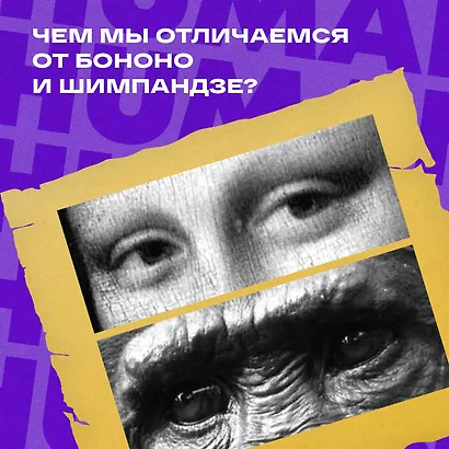 Выживает самый дружелюбный. Почему женщины выбирают добродушных мужчин, молодежь избегает агрессии и другие парадоксы, которые помогут узнать себя лучше - фото 6