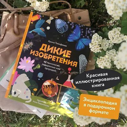 Дикие изобретения. 40 технологий, подаренных нам природой - фото 4