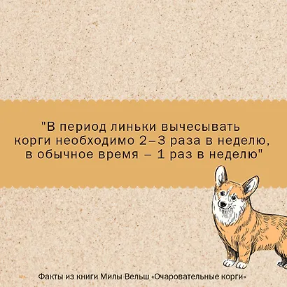 Очаровательные корги: походка, которая вдохновляет! - фото 7