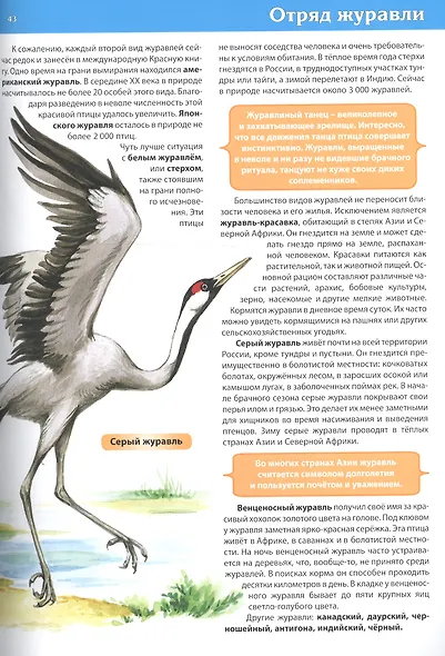 Животные. Большая детская энциклопедия - фото 9
