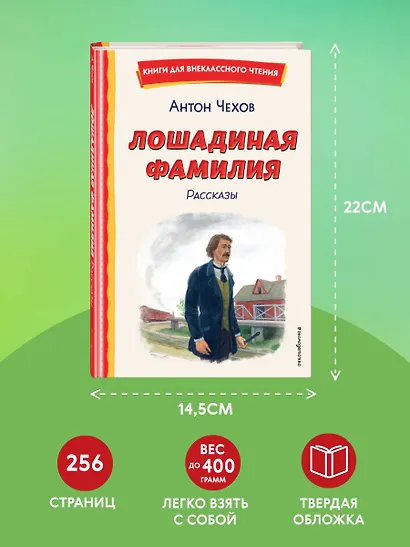 Лошадиная фамилия. Рассказы (ил. С. Ярового) - фото 7