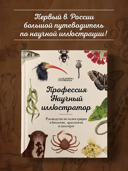 Профессия — Научный иллюстратор. Руководство по иллюстрации в биологии, археологии и палеоарте - фото 4