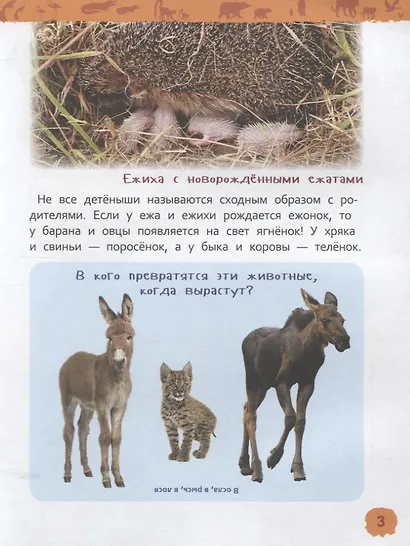 Детеныши животных - фото 4