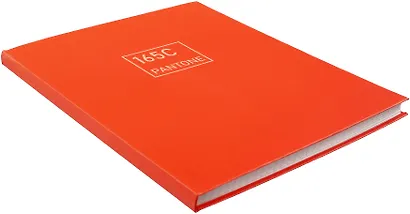 Книга для записей А5+ 96л тчк. "Рыжая лиса" интеграл.перепл., матов.ламин., выб.лак - фото 2