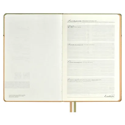 Ежедневник недат. А5 160л "Лайка" оливковый, кожзам, тв.переплет, обл.поролон, тиснение фольгой, офсет, ляссе - фото 4