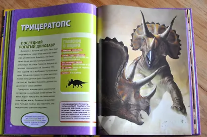 Большая энциклопедия динозавров - фото 5