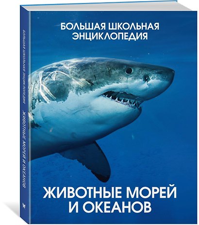 Животные морей и океанов. Большая школьная энциклопедия - фото 3