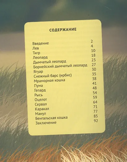 Дикие кошки - фото 2