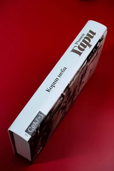 Корни неба - фото 7