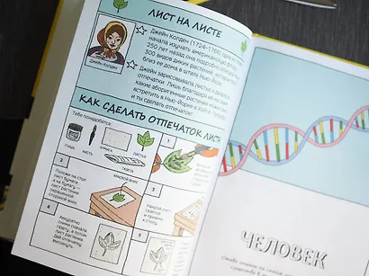 Безумные эксперименты в комиксах. Ставь опыты вместе с известными учеными - фото 10