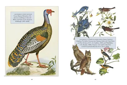 Анималистика. Образы & фантазии - фото 8