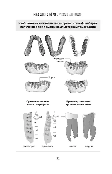Как мы стали людьми - фото 13
