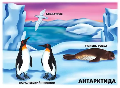 Природно-климатические зоны Земли. Демонстрационный материал для занятий в группах детских садов и индивидуально - фото 4