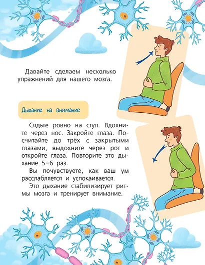 Мозг - фото 11