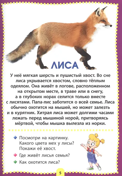 Лесные животные. Фотокнига для самых маленьких - фото 5