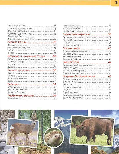 Лесные животные. Энциклопедия с развивающими заданиями - фото 3