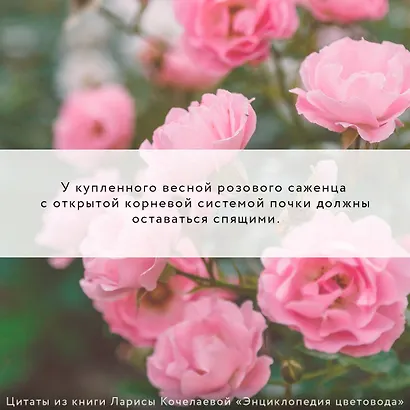 Энциклопедия цветовода - фото 9