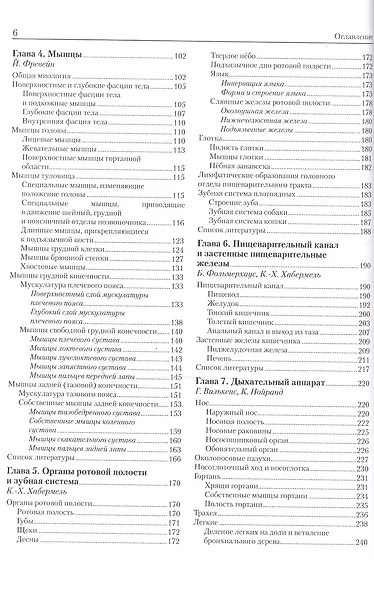 Анатомия собаки и кошки - фото 3