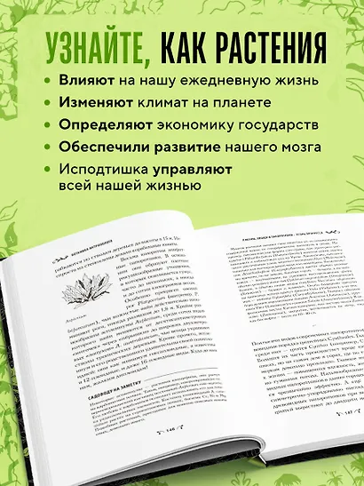 Ботаника антрополога. Как растения создали человека. Елки-палки - фото 6
