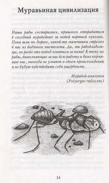 Письма насекомых. Издание второе, исправленное и дополненное - фото 8