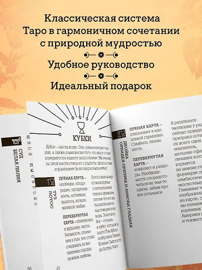 Ботаника. Таро (78 карт и руководство в подарочном футляре) - фото 6