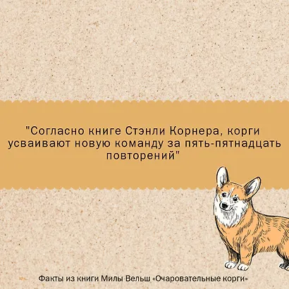Очаровательные корги: походка, которая вдохновляет! - фото 6
