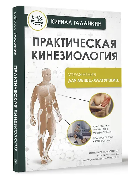 Практическая кинезиология. Упражнения для мышц-халтурщиц - фото 3
