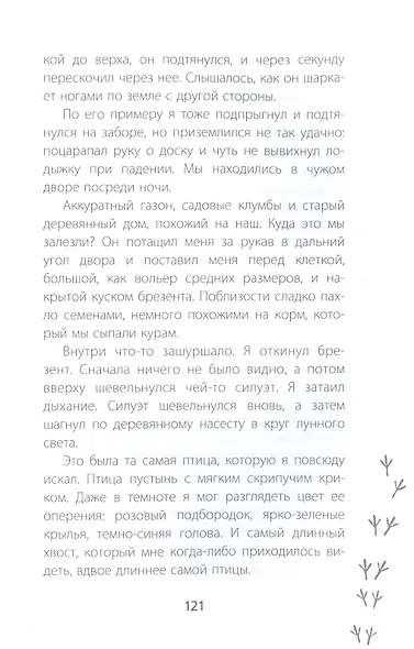 Птицы поют даже в хмурые дни - фото 7