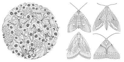 В царстве животных. Книга для творчества и вдохновения - фото 3