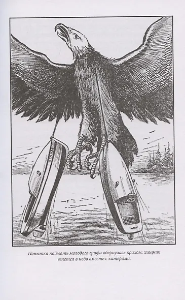 Парящий мститель - фото 10