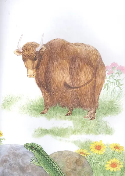 Непонятливый львенок - фото 5