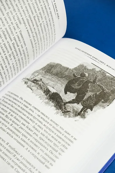 Приключения бригадира Жерара - фото 13