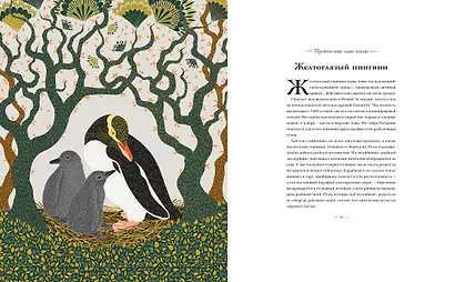 Книга исчезающих животных для неравнодушных сердец - фото 10