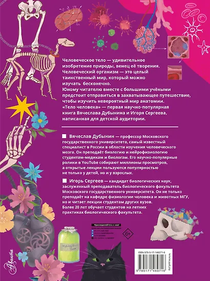 Тело человека - фото 2