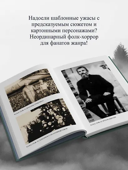 Баба Нюра. Либежгора. Мистический роман, основанный на реальных событиях - фото 8