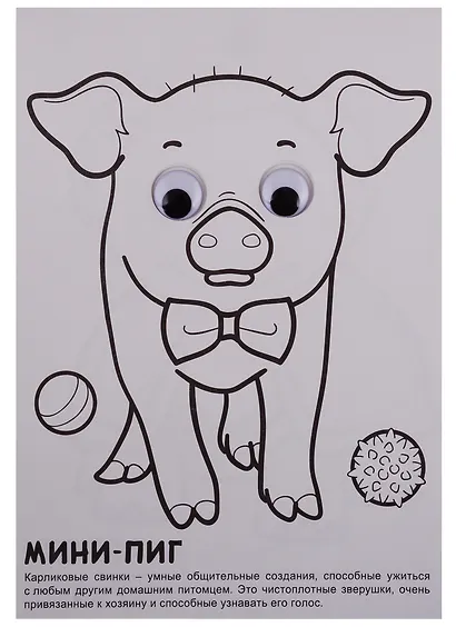 РАСКРАСКА А4 с глазками 22мм. ДОМАШНИЕ ЛЮБИМЦЫ - фото 4