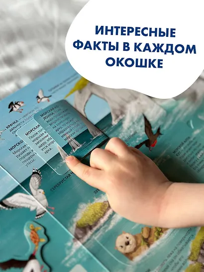 Все тайны подводного мира - фото 10