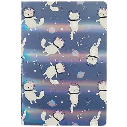 Тетрадь в клетку Хансибэг, Astro cats, 32 листа - фото 1