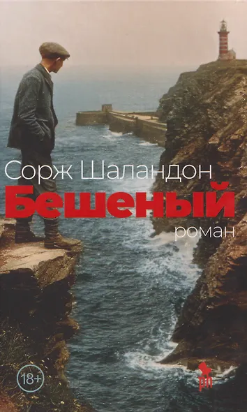 Бешеный: роман - фото 1