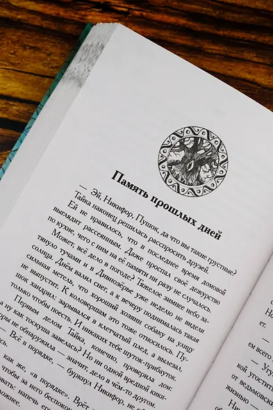 Удивительные сказания Дивнозёрья - фото 11