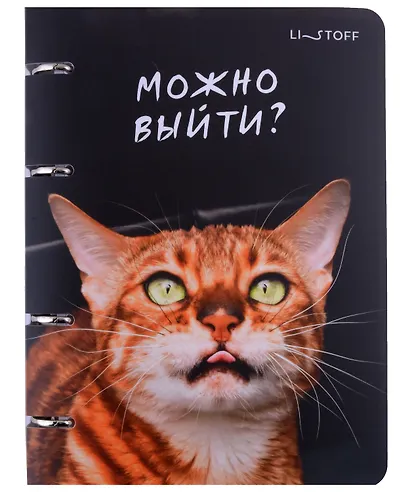 Тетрадь на кольцах в клетку Listoff, "Котики", 100 листов - фото 1