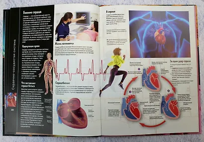 Тело человека. Виртуальная реальность - фото 7